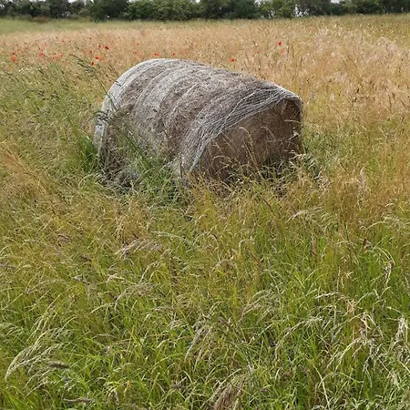 De 1926, De Sable Fin A 200m, Proche Commerces 別荘