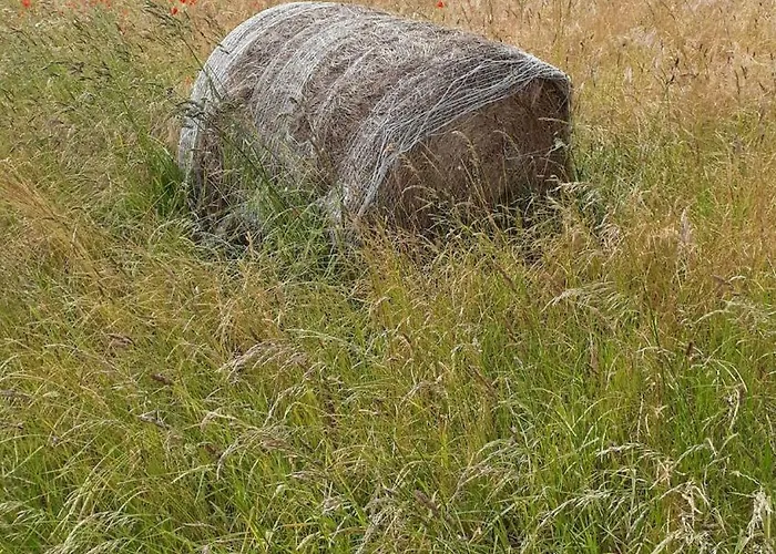 De 1926, De Sable Fin A 200m, Proche Commerces Ferienhaus
